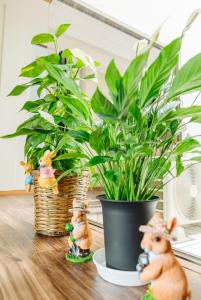 X103Nagoya Station area courtyard rental detached house