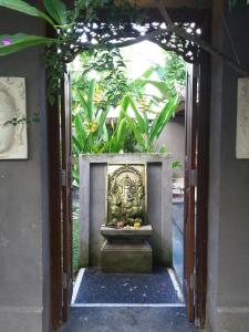 Badra House Bougainvillea