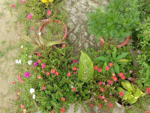 Atithi home stay and Cloud Kitchen