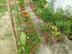 Atithi home stay and Cloud Kitchen