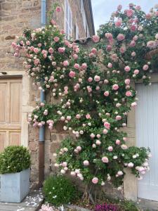 Maisons de vacances Le Gite d-Antoine - Beaujolais : photos des chambres