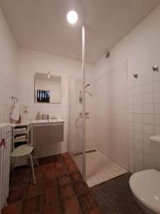 Maisons de vacances gite rural le Syet : photos des chambres