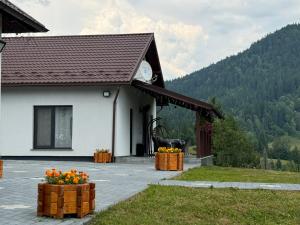 Cabana Colț de Rai Ilva Mare