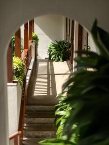 Villa de Jojo
