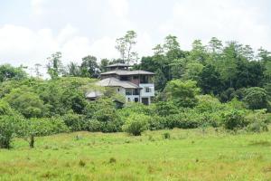 Ayurishi Villa