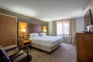 Petite Queen Room - Non-Smoking/1st Floor room in Arroyo Pinion Hotel Ascend Hotel Collection