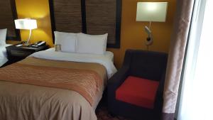 Queen Room with Two Queen Beds - Non-Smoking room in Quality Inn & Suites Montgomery East Carmichael Rd