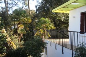 Villas La Canopee : photos des chambres