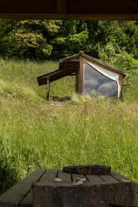 Mountain view Glamping