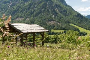 Mountain view Glamping