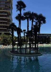 Dreamland oasis