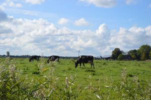 Ferienwohnung Westerheide - 3hvězdičkové hotely ve městě Horumersiel