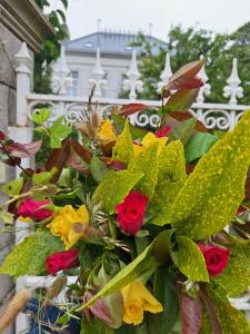 Appartements Happiness : photos des chambres