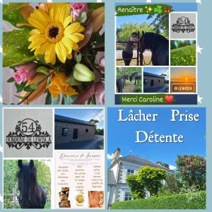 Appartements Happiness : photos des chambres