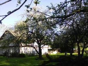 Villa Eden Peene
