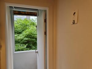 Cheongdam Urban Forest house