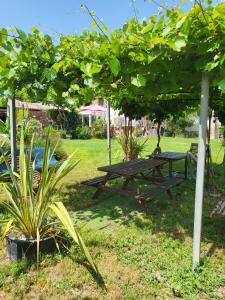 Maisons de vacances Gites du Mas Gibert a SAUSSINES entre Nimes et Montpellier : photos des chambres