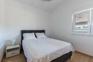 Apartments with parking space Vir - 24653