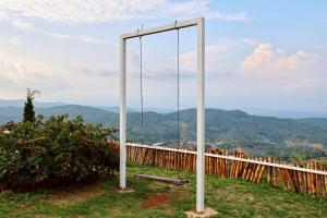 ดอกฟ้า ม่อนแจ่ม