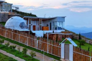 ดอกฟ้า ม่อนแจ่ม