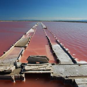 Appartements Le Limouzy - appartement proche des halles : photos des chambres
