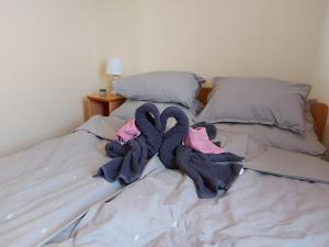 Zalagyöngye Apartman