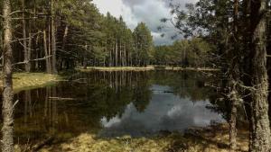 Ático con chimenea en Bronchales