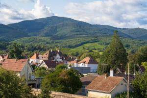 Grand duplex en plein centre