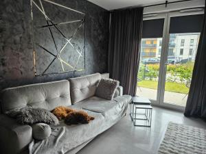 Przytulny apartament