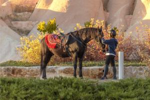 Sakura Hotel Cappadocia by AJWA