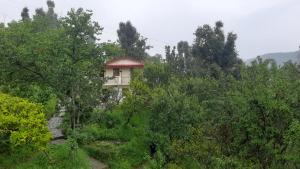 Parwati Orchard Homestay