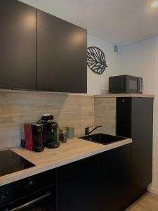 Appartements Sommet studio au centre du village : photos des chambres