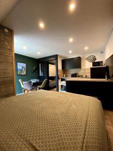 Appartements Sommet studio au centre du village : Appartement 1 Chambre