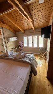 Swan Paradise Nafplio