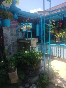 Casa de vacanta Puiu