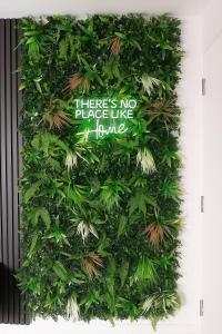 Nestee Serviced Apartments - Central Torquay - Pet Friendly - Harbour Views