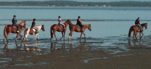 Maisons de vacances RONCE ,MER 3mn ,VELODYSSEE 10mn ,LIBRE14au18aout ET au22aout, avec local 2roues, avec VOS animO ! , : photos des chambres