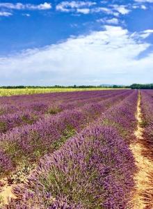 Maisons de vacances Loft en Provence - Terrasse-Climatisation-Proche Golf et Luberon : photos des chambres