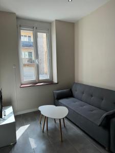 Appartements Charmant appartement hyper-centre de Nancy : photos des chambres