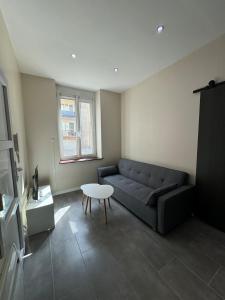 Appartements Charmant appartement hyper-centre de Nancy : photos des chambres