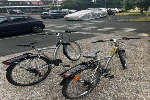 Appartements Vaste studio au centre de La Teste de Buch : Appartement 1 Chambre