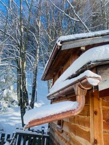 Hotels La-Haut cabanes perchees : photos des chambres