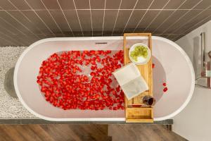 HanoianHearths- NH3 - Center - Projector&BathTub