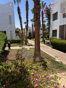 Downtown,Delta sharm