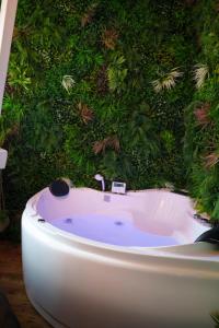 Jungle Évasion, Épernay - Jacuzzi & Sauna