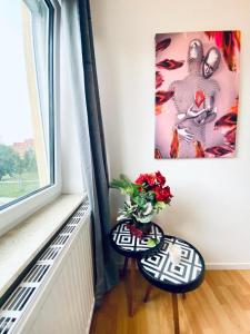 Cozy 4-Bedroom shared Apartment ,Perfect for Groups
