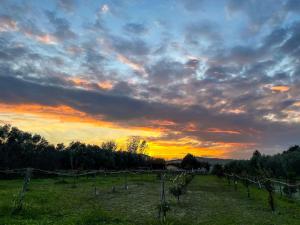 Villa Claudia - Appartamento B