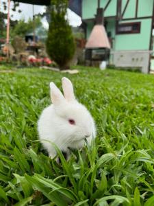 De Ville Hotel Boutique