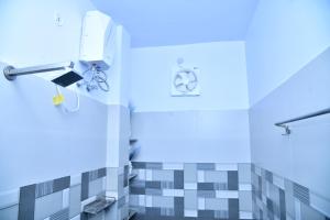 Rachnas Nawabi Nest