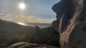 Maisons de vacances Casa corsica : photos des chambres